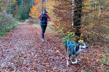 Fit in den Winter: Vorbereitung mit Hund