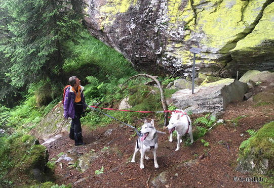 Old Zerfreila path - Reservoir - Zerfreila - Gadastatt