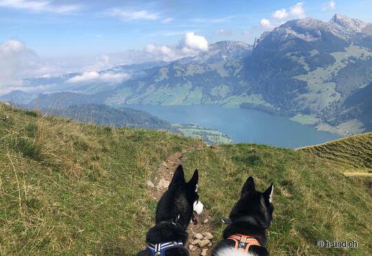 Fluebrig Rundwanderung