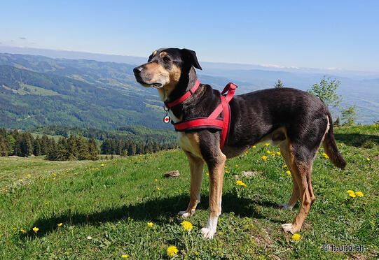 Forstseeli circular hike