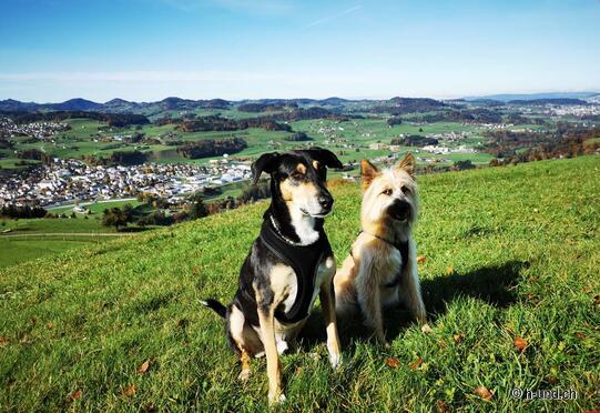 Ganterschwil circular hike