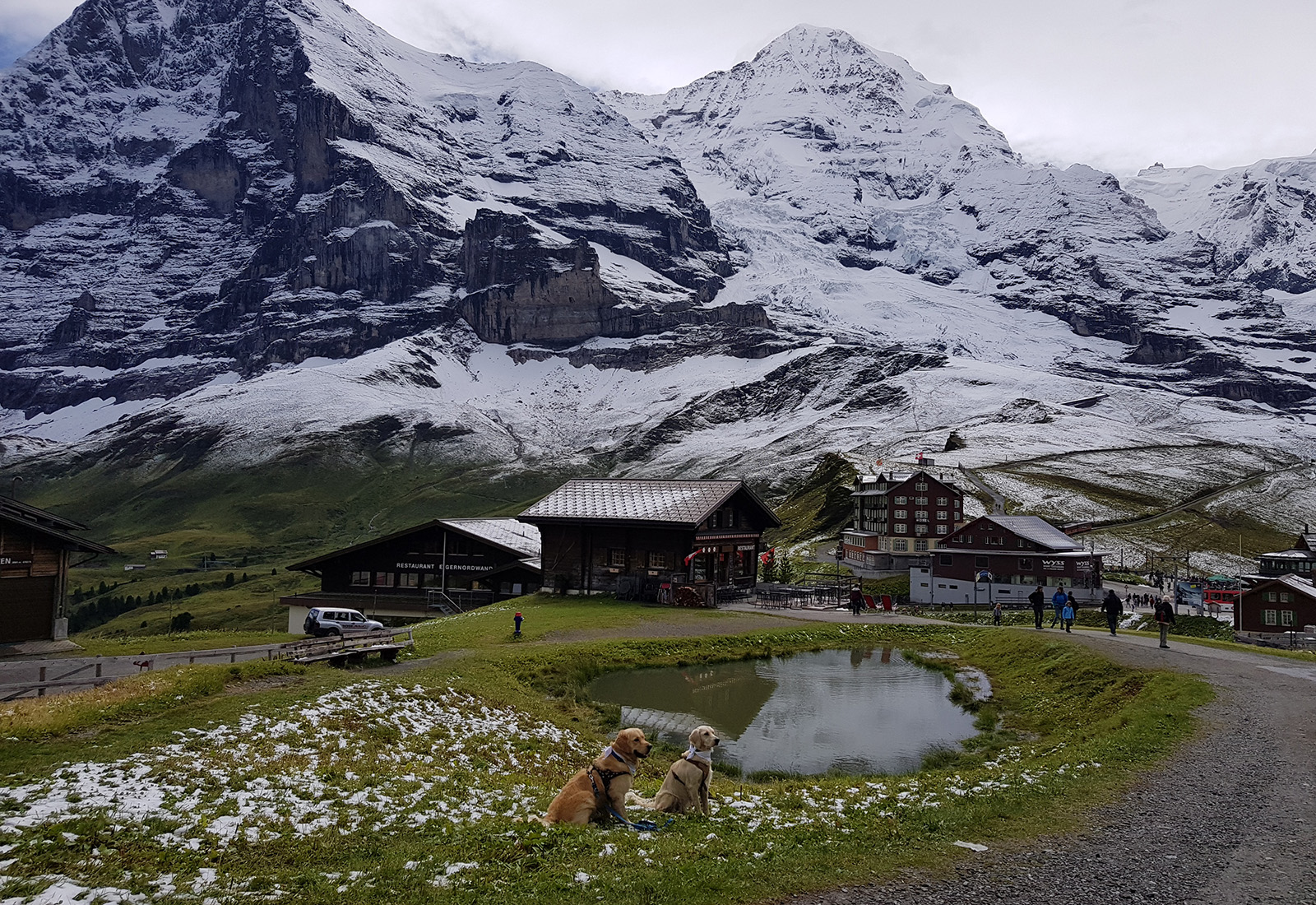 MaennlichenAlpiglenKl.ScheideggWengen