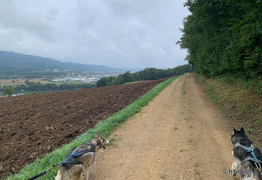 Rheinfelden - Sonnenberg - Mumpf