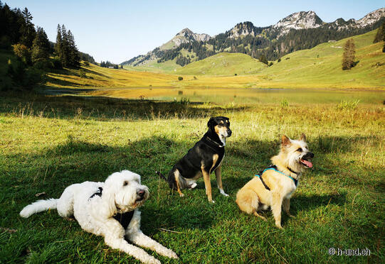 Circular hike underwater Gamplüt-Grappelensee