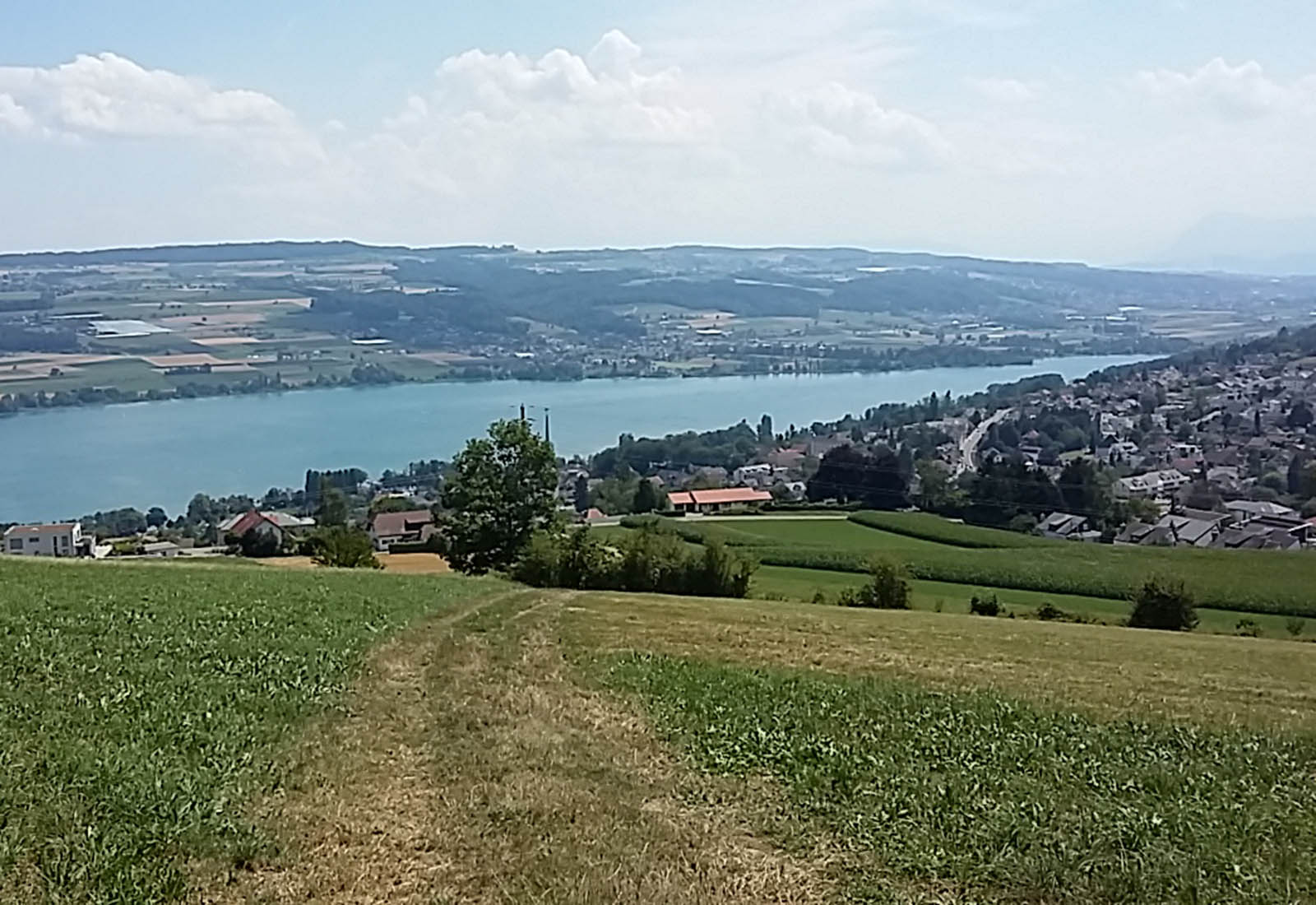 Sch  ftland-Beinwil See