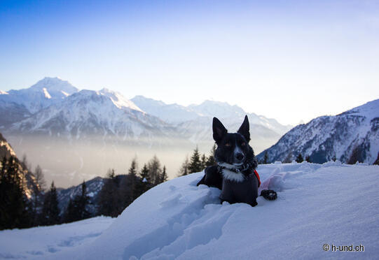 Blatten (1327m) - Egga - Belalp (2130m)