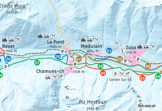 Cross-country trail for dogs