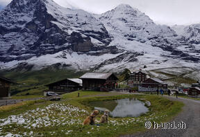 Kleine Scheidegg