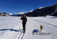Für Zweibeiner mit Hund