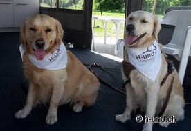 Kaya et Neo en tant que reporters