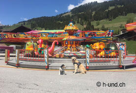 Perfect timing for the spring festival