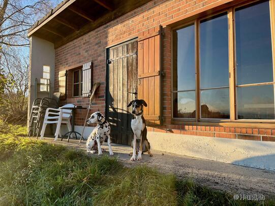 H-und.ch:Vivre la Suisse avec son chien