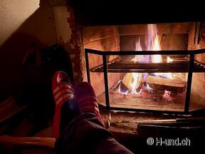 H-und.ch:Vivre la Suisse avec son chien