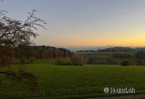 H-und.ch : Vivre la Suisse avec son chien