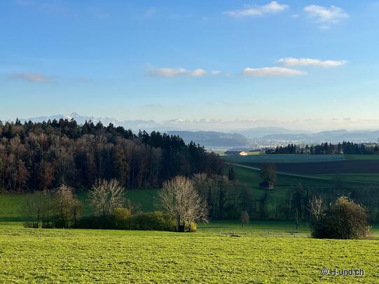 Surprise de bienvenue dans l'appartement de vacances Reka Hasliberg de Vitakraft.