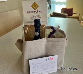 H-und.ch: Experience Switzerland with your dog