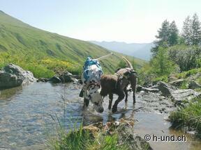 Benvenuti al Villaggio turistico Reka di Lugano Albonago