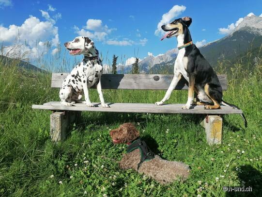 H-and on Tour: Villaggio turistico Reka di Lugano