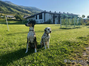 H-und in tour: Reka Feriendorf Scuol