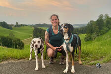 Sonnenuntergang im Zürioberland