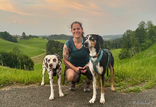 sonnenuntergang-im-zuerioberland