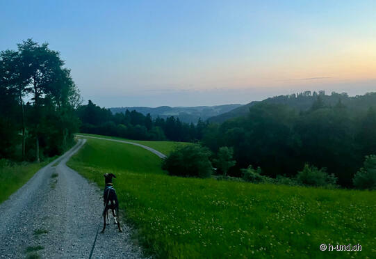 sonnenuntergang-im-zuerioberland