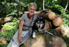 Perfetto per il rapporto cane-umano.