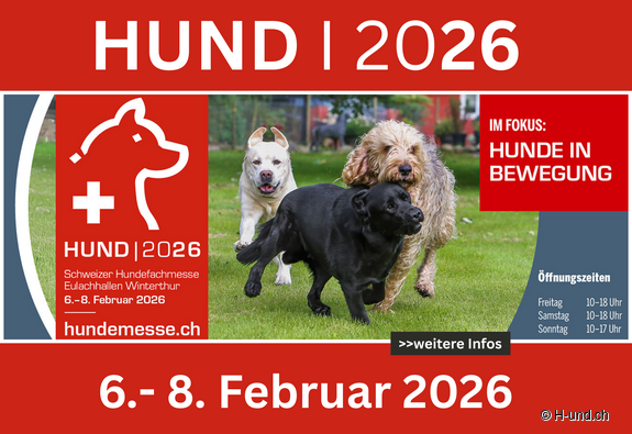 Klicke hier für weitere Infos