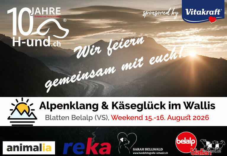 Klicke hier für weitere Infos