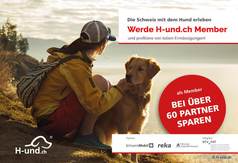 Klicke hier für weitere Infos
