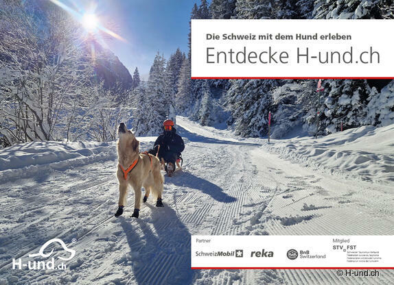 Klicke hier für weitere Infos