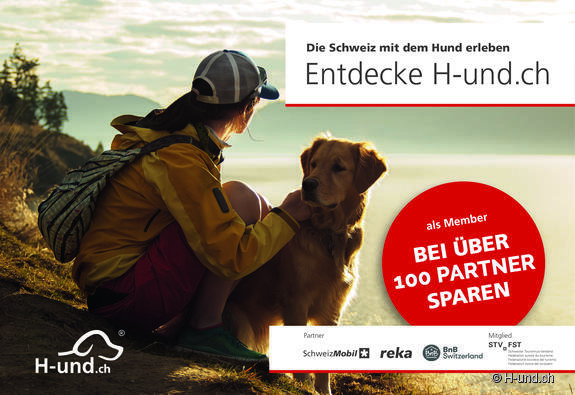 Klicke hier für weitere Infos