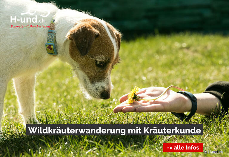 Klicke hier für weitere Infos