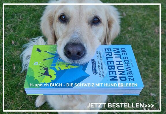 Klicke hier für weitere Infos