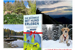 H-und Produktübersicht