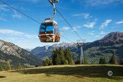 Ferrovie con il cuore di un cane: Scoprite la Svizzera