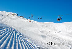 Dogs travel here free of charge.