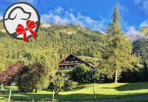 Le Vieux Chalet, Château d'Oex (VD)