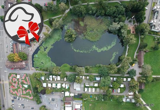 Camping am Schützenweiher