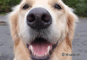 Il problema delle aspettative