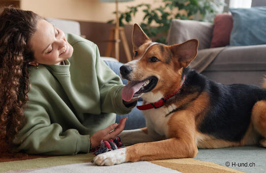 Momenti di tristezza di novembre: momenti felici con un cane