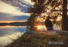 Sulla serenità e la calma nella vita quotidiana (del cane)