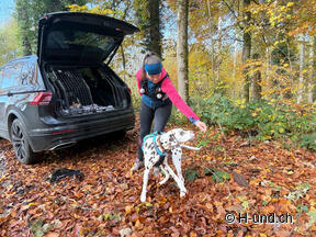 Example exercise circles