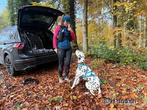 Example Exercise Changing positions