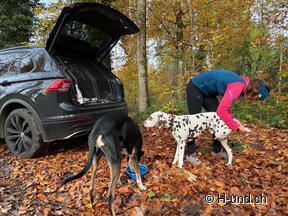 Fit for winter: preparation with a dog