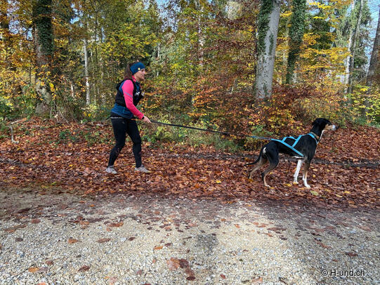 Fit for winter: preparation with a dog