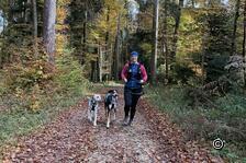 In forma per l'inverno: Preparazione con il cane