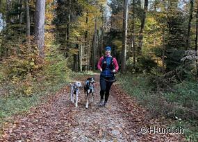 Fit for winter: preparation with a dog