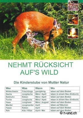 H-und.ch : Vivre la Suisse avec son chien