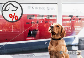 Cruise & Ferry Center AG: mit Hund auf Fähre